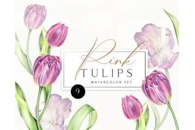 Watercolor Pink Tulips individual PNG clipart. Spring flowers clip art