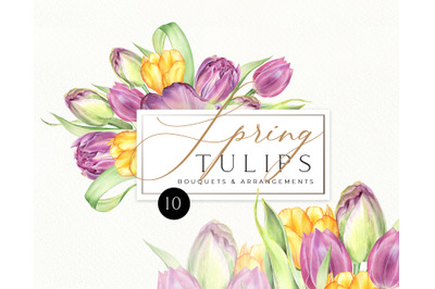Watercolor Tulips bouquets  PNG clipart. Spring flowers arrangements c