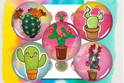 Cactus Succulents Digital Collage Sheet,Cactus Printable,Cactus Caboch
