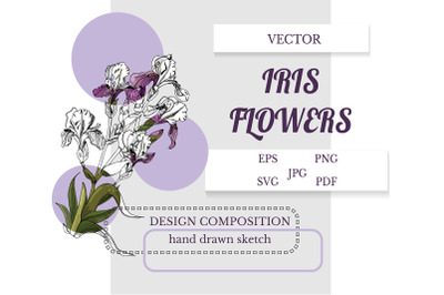 Vector design composition of hand drawn sketch of iris.