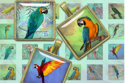 Tropical Parrots, 2x2, 1.5x1.5, 1x1 inch, Birds Printable