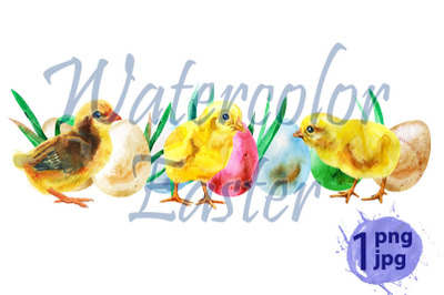 Watercolor Easter colored eggs&2C; chickens and grass