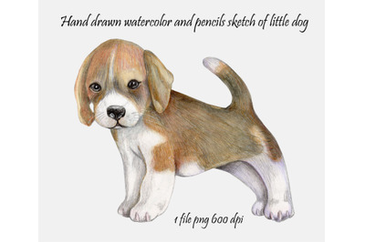 Sketch of little dog