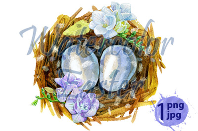 Hand drawn watercolor nest with eggs and flowers