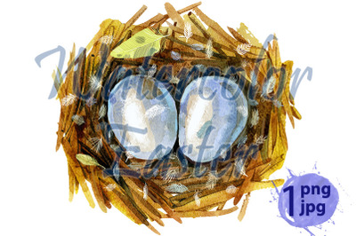 Hand drawn watercolor bird nest with eggs, easter design