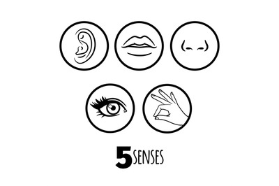 Five senses outline icons vector of set