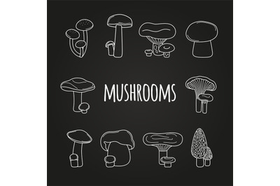 White line mushrooms on blackboard