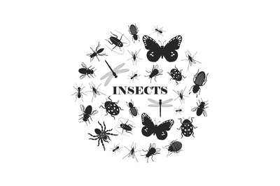 Black insect silhouettes