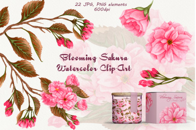 Blooming Sakura Watercolor Clip Art