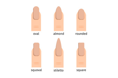 Most popular nail shapes with nude manicure vector illustration