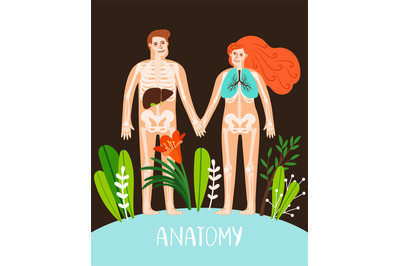 People anatomy poster