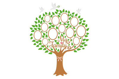 Family tree generation, genealogical tree with photo place