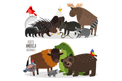 Popular North America animals groups vector illustration