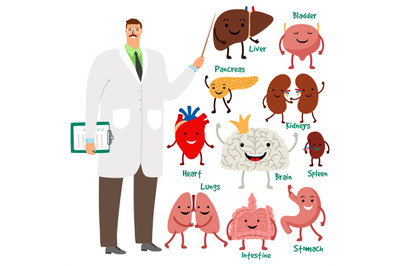 Cute doctor and human internal organs vector illustration