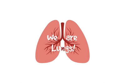 Human internal organs - lungs vector isolated on white background