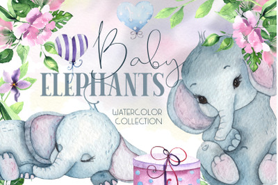 Cute Baby Elephants. Watercolor collection