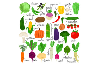 Cartoon vegetables collection