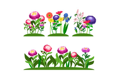 Garden flowers vector composition. Peony, lilly, daisy with green leav