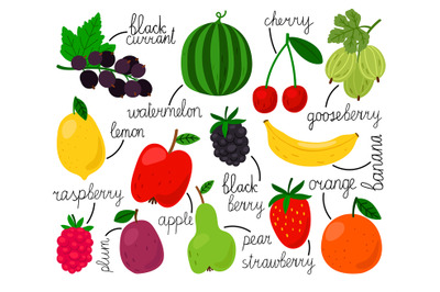 Hand drawn fruits collection