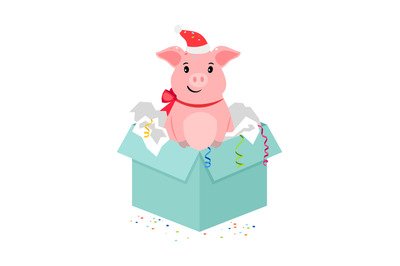 Cartoon pig in gift box