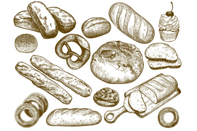 Hand drawn fresh bread. Sesame bun&2C; pretzel and french loaf. Sketch ba