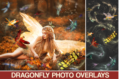 55 Photoshop overlay&2C; Dragonfly clipart&2C; Butterfly overlay&2C; Fairy