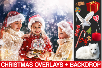 Christmas digital backdrop, Snow globe photo overlay
