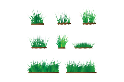 grass simple vector illustration