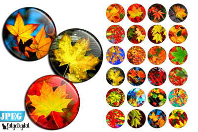 Autumn Leaves Circle Printable images Scrapbooking