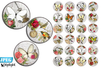 Birds and Butterflies Circle Printable images Steampunk