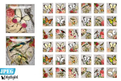 Birds and Butterflies Square printable images Steampunk