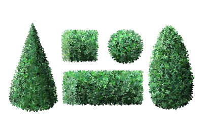 Realistic garden bushes. Topiary gardener fence&2C; geometrical tree crow