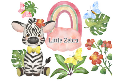 Zebra watercolor clipart, baby animal and rainbow clipart, PNG DIY