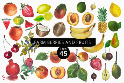 Farm berries &amp; fruits