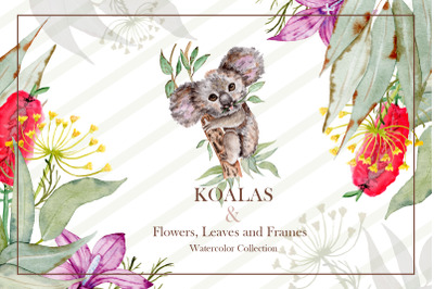 Watercolor Koala Collection