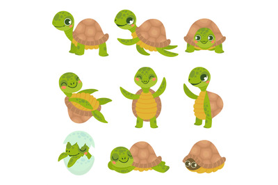 Cartoon smiling turtle. Funny little turtles, walking and swim tortois