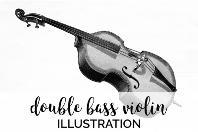 Violin Clipart Music