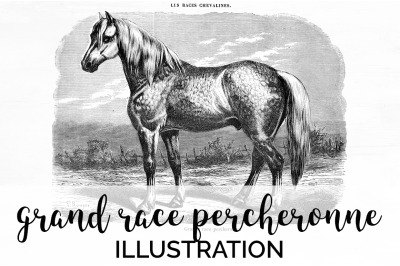 Horse Clipart Black and White