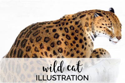 Cat Clipart Wildcat