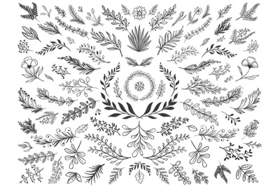 Hand drawn floral decor leaves. Sketch ornamental branches, decorative