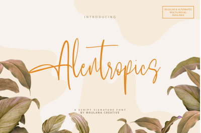 Alentropics  Script Signature Font