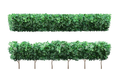 Realistic garden plant fence. Nature green seasonal bushes, tree crown