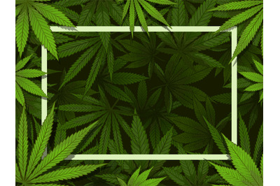Green hemp frame. Marijuana leafs border, medical drugs and cannabis d