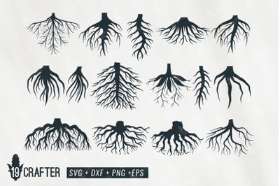 plant root variety illustration svg bundle