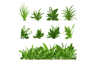 Realistic grass bushes. Green fresh plants, garden seasonal spring gre