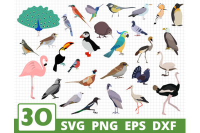 Birds vector bundle | Bird svg | Bird cricut | Bird clipart