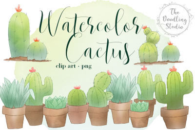 Watercolour Cactus and Succulents