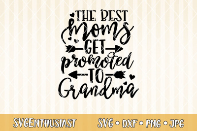 Free Free 332 Grandma&#039;s Love Bugs Svg SVG PNG EPS DXF File