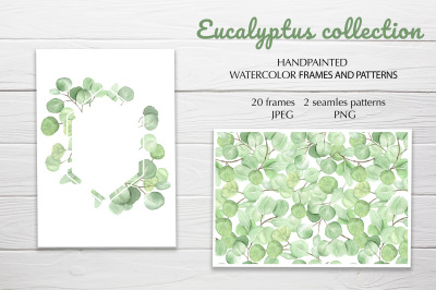 Eucalyptus watercolor collection