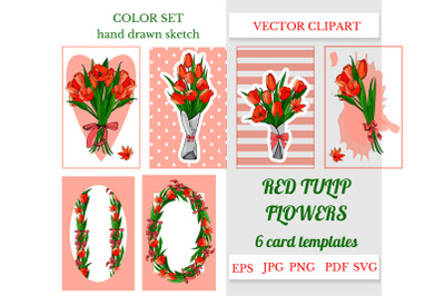 Hand drawn sketch of red tulip flowers. Vector floral bouquets.